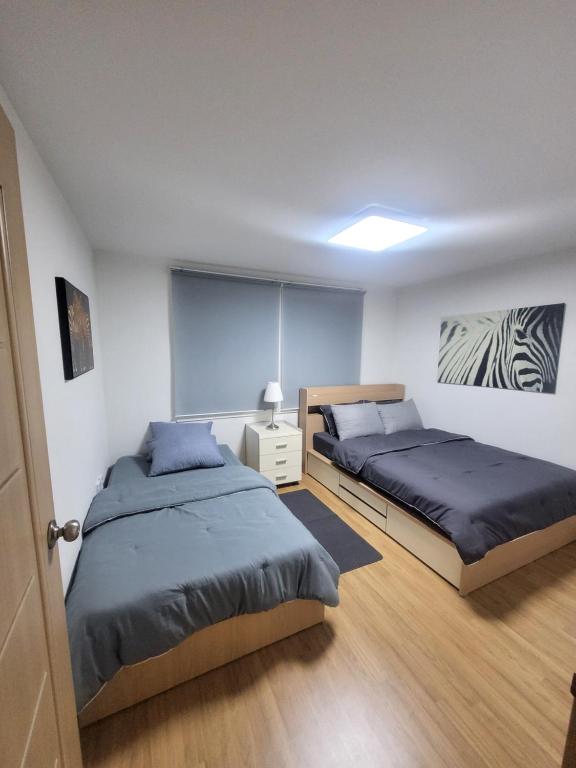 Newly Renovated Modern Home #11