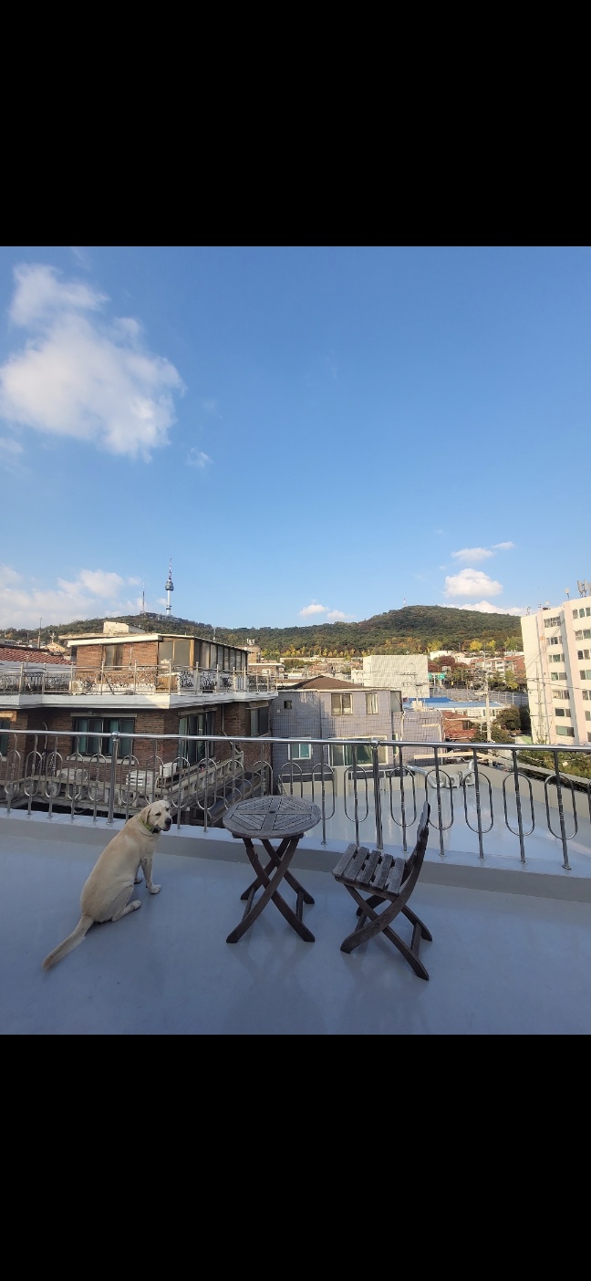 Cozy Rooftop View #12