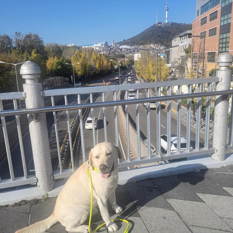 Stylish and Modern New Home #14