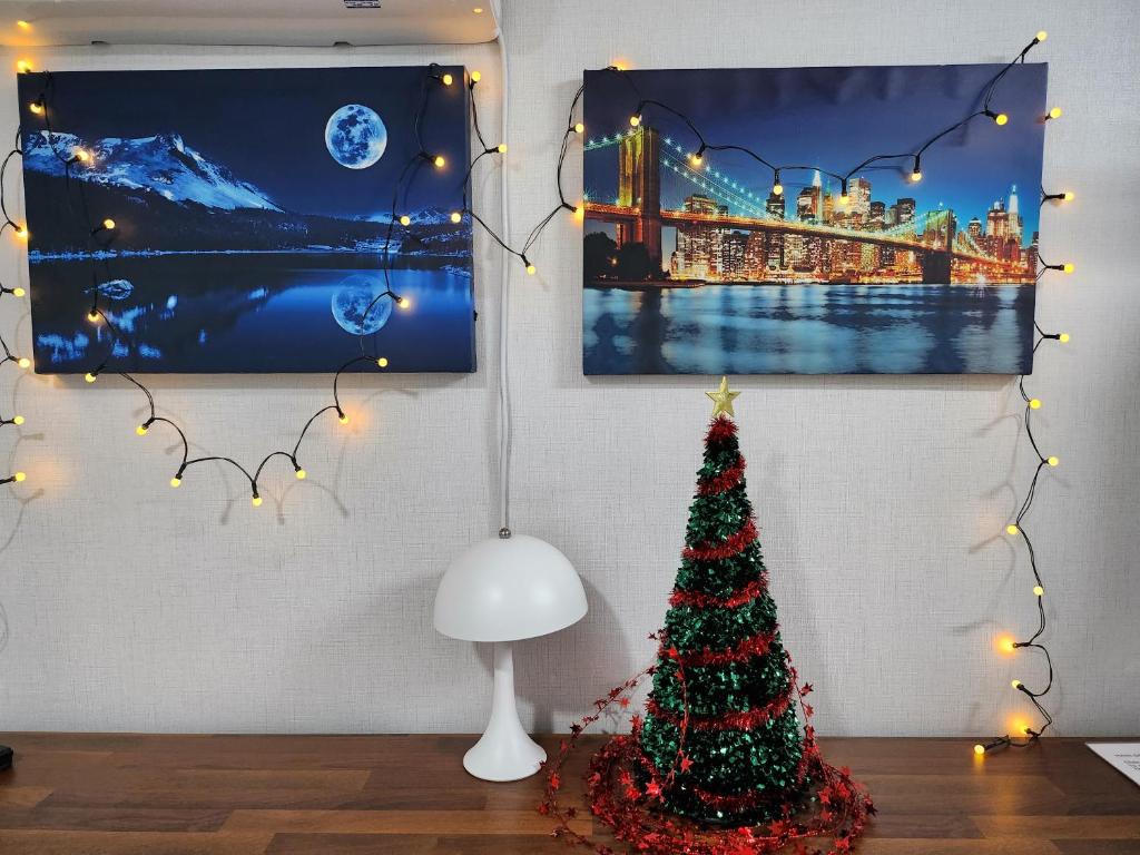 Newly Renovated Modern Home #11 in HBC