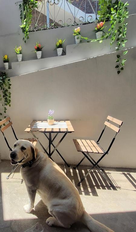 Private Home Newly Renovated #8 with Terrace